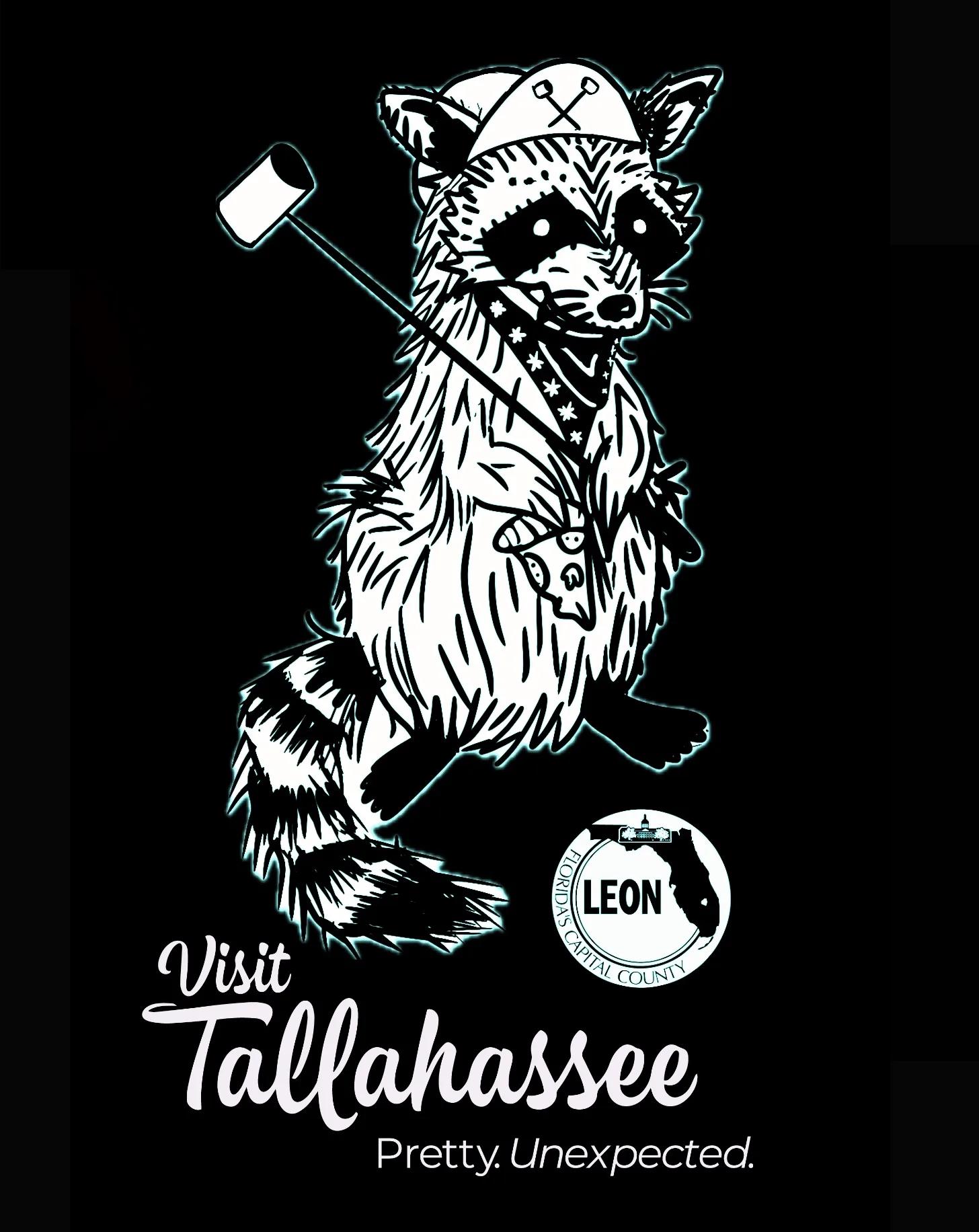 Tallahassee Bike Polo