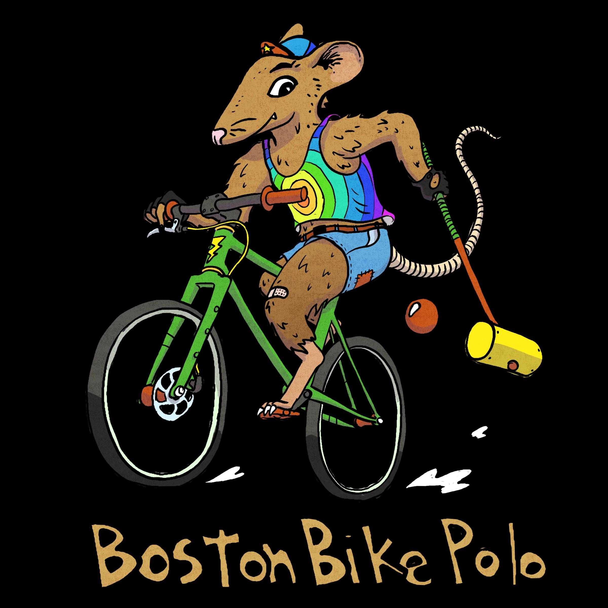Boston Bike Polo
